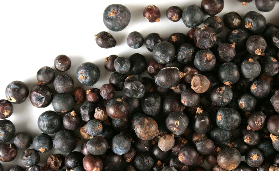 Juniper Berry (Blue)