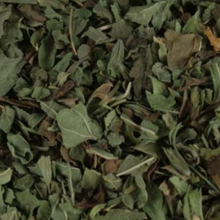 Lemon Balm