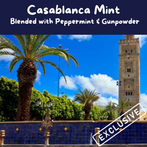 Casablanca Mint