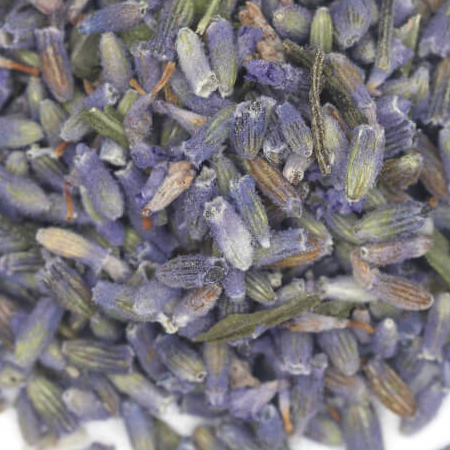 Lavender Flowers Ultra