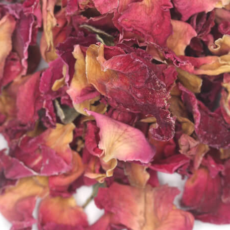 Rosa Canina Rose Buds & Petals